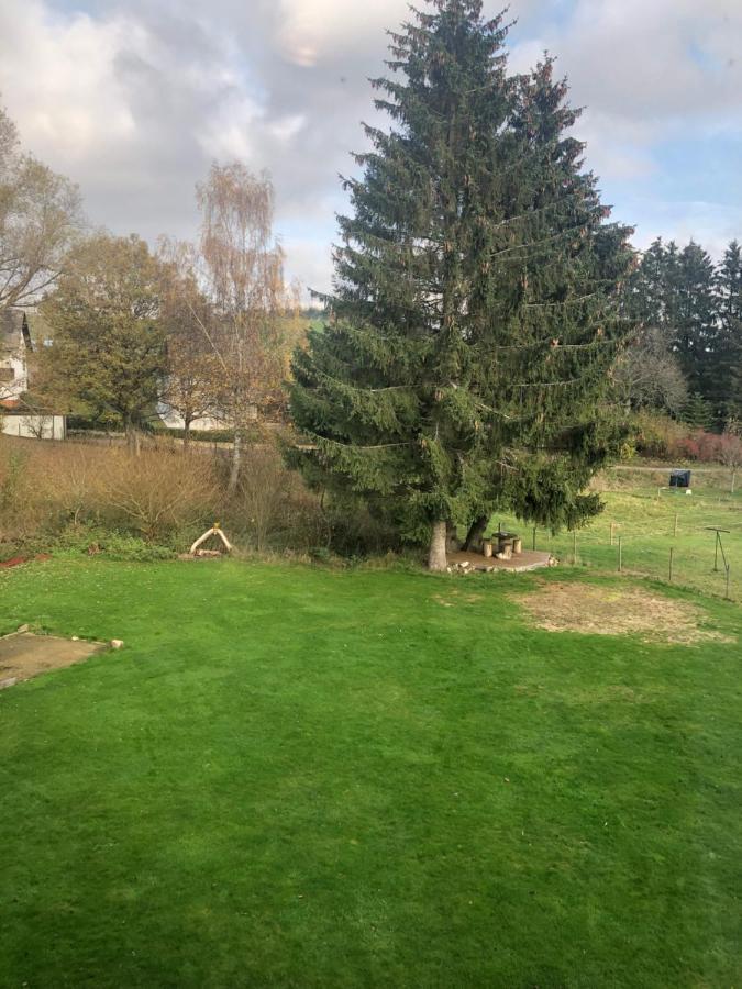 Haus Schneider Kaetchen Villa Deudesfeld Dış mekan fotoğraf