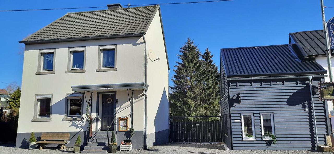Haus Schneider Kaetchen Villa Deudesfeld Dış mekan fotoğraf